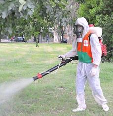 Fumigation Services
